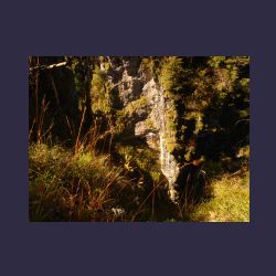 2012-10-20_Fall_AQUILA (014).JPG